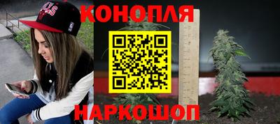 гашик Заводоуковск