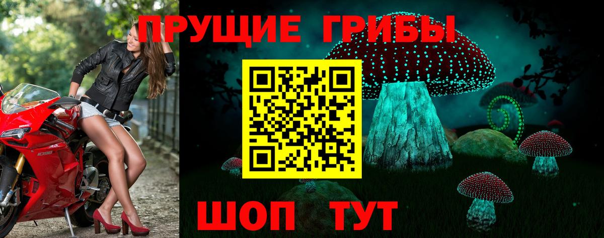 Москва  Псилоцибиновые грибы мицелий  Вход с VPN  Галлюциногенные грибы мухоморы 