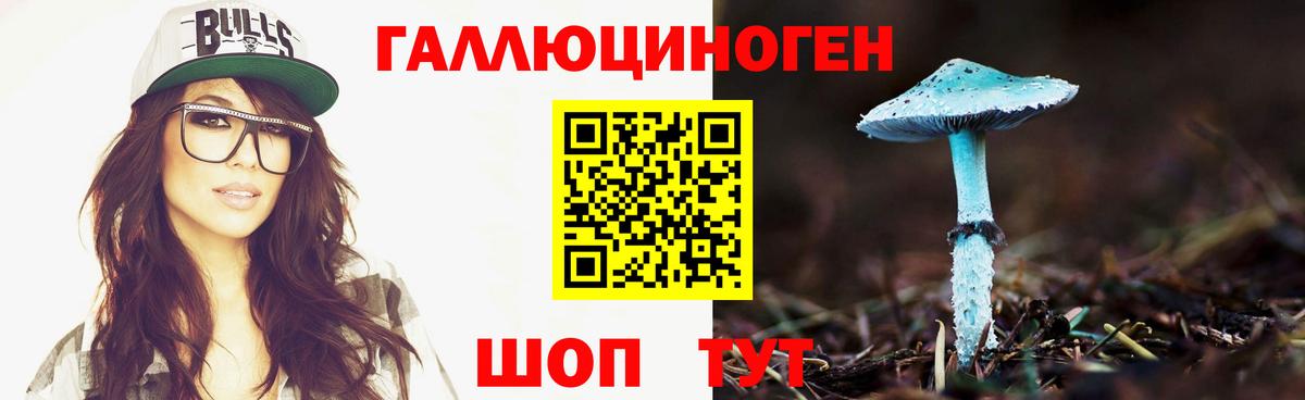 Галлюциногенные грибы GOLDEN TEACHER Москва
